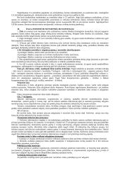 Civilinės atsakomybės samprata ir institutai 12 puslapis