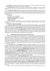 Civilinės atsakomybės samprata ir institutai 13 puslapis