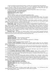 Civilinės atsakomybės samprata ir institutai 3 puslapis