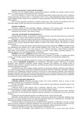 Civilinės atsakomybės samprata ir institutai 4 puslapis