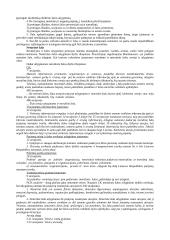 Civilinės atsakomybės samprata 11 puslapis