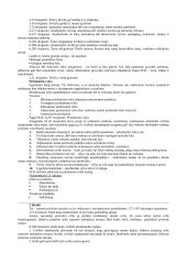 Civilinės atsakomybės samprata 12 puslapis