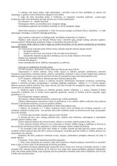 Civilinės atsakomybės samprata 13 puslapis