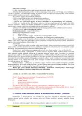 Civilinės atsakomybės samprata 16 puslapis