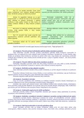 Civilinės atsakomybės samprata 17 puslapis