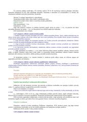 Civilinės atsakomybės samprata 5 puslapis