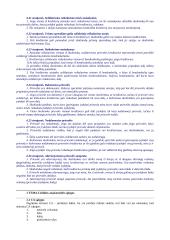 Civilinės atsakomybės samprata 9 puslapis