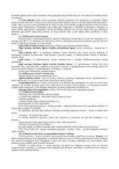 Civilinio proceso teisės dalykas ir sistema 3 puslapis