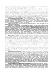 Civilinio proceso teisės dalykas ir sistema 5 puslapis