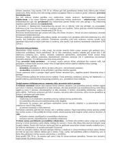 Civilinių teisinių santykių sąvoka 4 puslapis