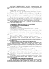 Darbo sutarties programa 13 puslapis