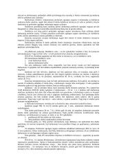 Darbo sutarties programa 17 puslapis