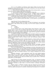 Darbo sutarties programa 19 puslapis