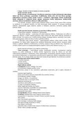 Darbo sutarties programa 3 puslapis