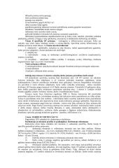 Darbo sutarties programa 4 puslapis