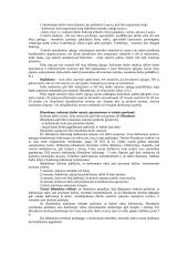 Darbo sutarties programa 8 puslapis