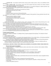 E-komercijos sąvoka 14 puslapis