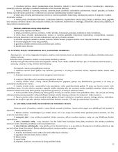 E-komercijos sąvoka 15 puslapis