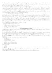 Ekonomikos mokslo teorinė medžiaga 13 puslapis