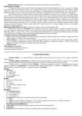 Ekonomikos mokslo teorinė medžiaga 10 puslapis