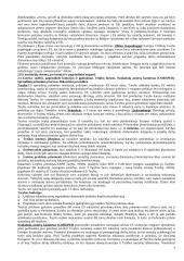 ES atsiradimas, jos teisinis pagrindas ir tikslai 7 puslapis