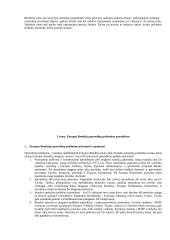 Europos Sąjungos (ES) atsiradimas 17 puslapis