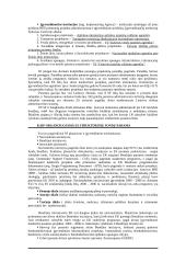 Europos Sąjungos parama Lietuvai 4 puslapis