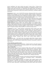 Filosofijos probleminių krypčių samprata 2 puslapis