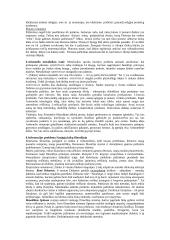 Filosofijos probleminių krypčių samprata 3 puslapis