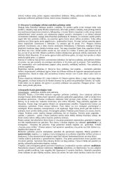 Filosofijos probleminių krypčių samprata 6 puslapis