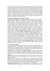 Filosofijos probleminių krypčių samprata 7 puslapis