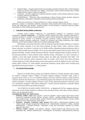 Finansų politika 2 puslapis