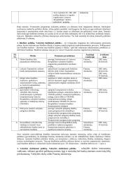 Finansų politika 6 puslapis