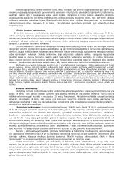 Fiziniai asmenys - civilinės teisės subjektai? 2 puslapis