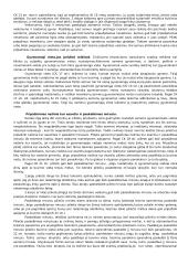 Fiziniai asmenys - civilinės teisės subjektai? 3 puslapis