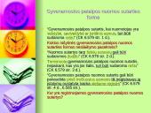 Gyvenamosios patalpos nuoma. Viskas ką reikia žinoti 12 puslapis