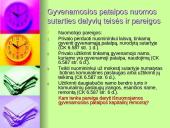 Gyvenamosios patalpos nuoma. Viskas ką reikia žinoti 19 puslapis