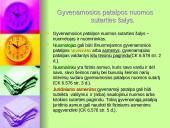 Gyvenamosios patalpos nuoma. Viskas ką reikia žinoti 8 puslapis