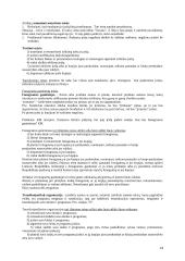 Intelektinės nuosavybės teorinė medžiaga 14 puslapis