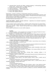 Intelektinės nuosavybės teorinė medžiaga 3 puslapis