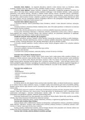 Intelektualinė nuosavybė 2 puslapis