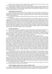 Intelektualinė nuosavybė 13 puslapis
