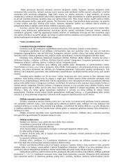 Intelektualinė nuosavybė 14 puslapis