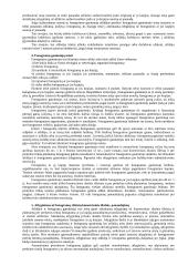 Intelektualinė nuosavybė 15 puslapis