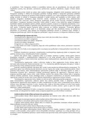 Intelektualinė nuosavybė 16 puslapis