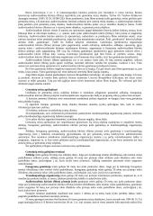 Intelektualinė nuosavybė 17 puslapis