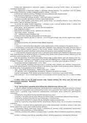 Intelektualinė nuosavybė 19 puslapis