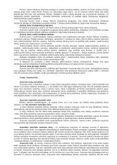 Intelektualinė nuosavybė 3 puslapis