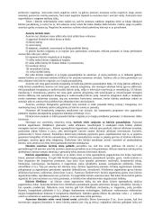 Intelektualinė nuosavybė 4 puslapis