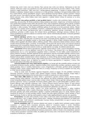 Intelektualinė nuosavybė 5 puslapis
